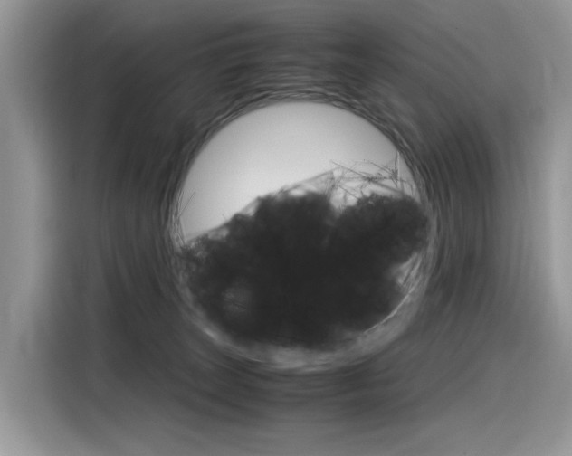 X0000116350179200912011045