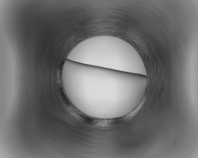 X0000116350182200912011045