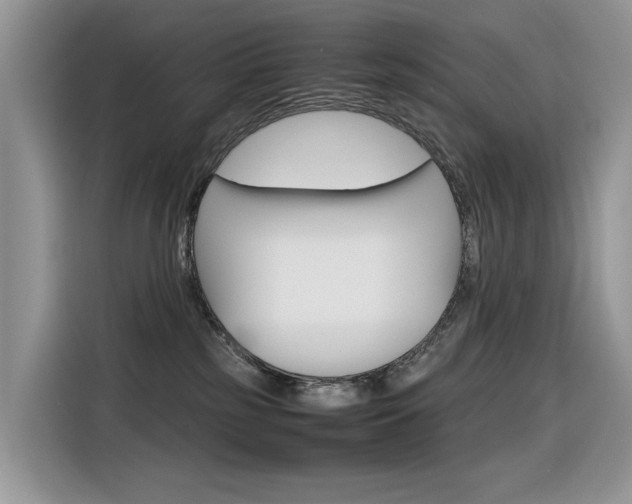 X0000116350185200912011045