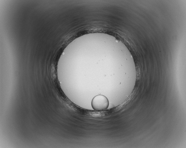 X0000116350187200912011046
