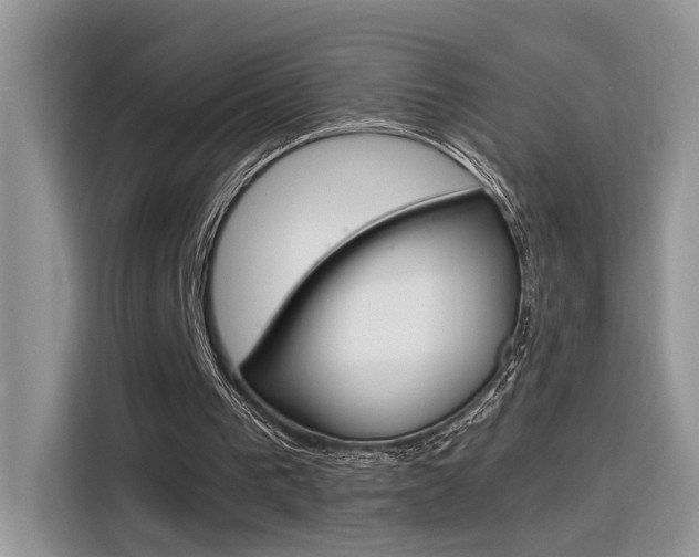 X0000116350193200912011045