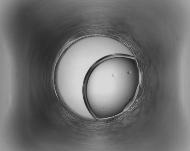 X0000116350195200912011045