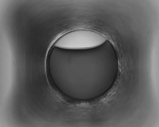 X0000116350196200912011045