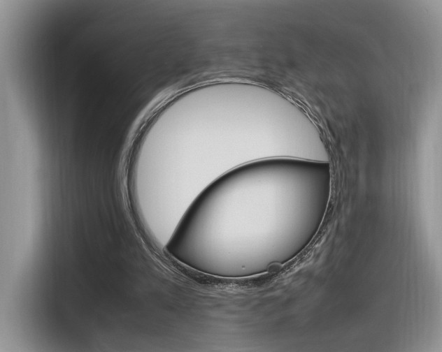 X0000116350197200912011045