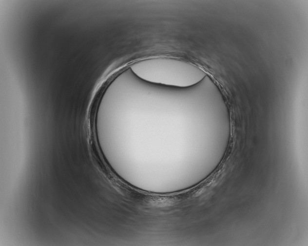 X0000116350198200912011045