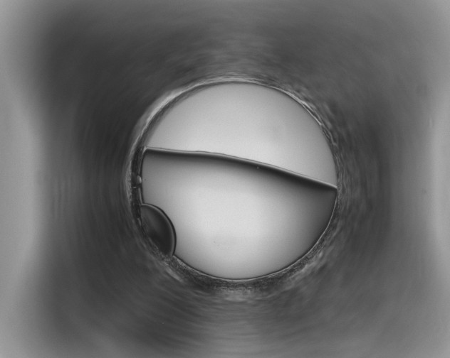 X0000116350200200912011045