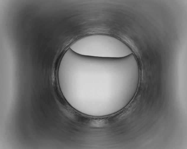 X0000116350202200912011045
