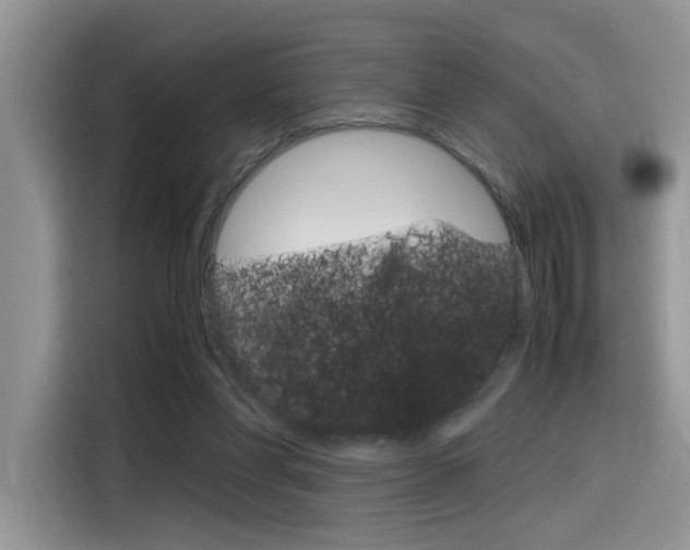 X0000116350206200912011045