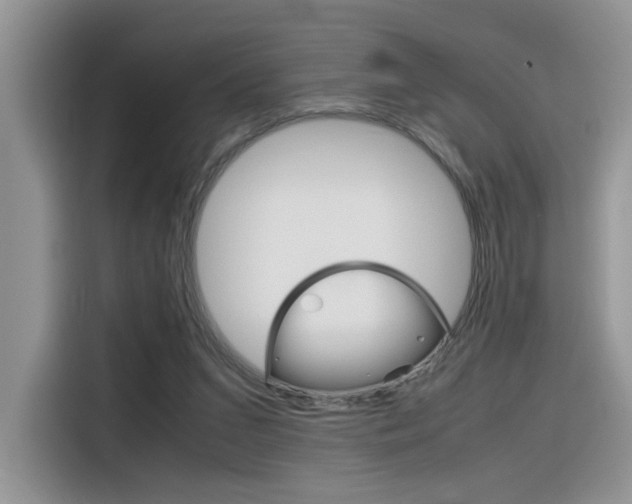 X0000116350207200912011045