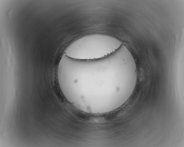 X0000116350210200912011045