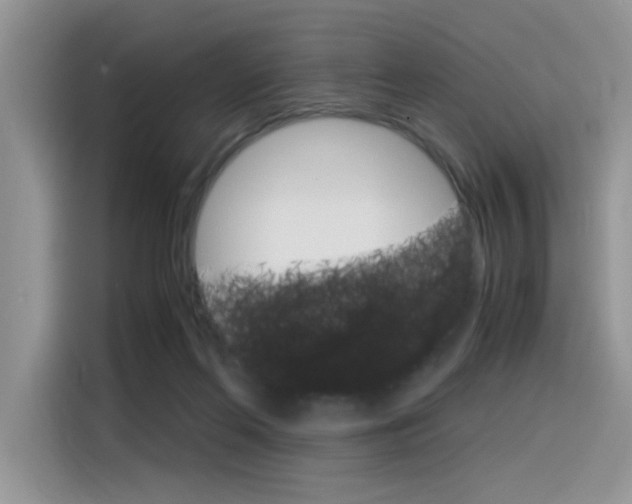 X0000116350214200912011045
