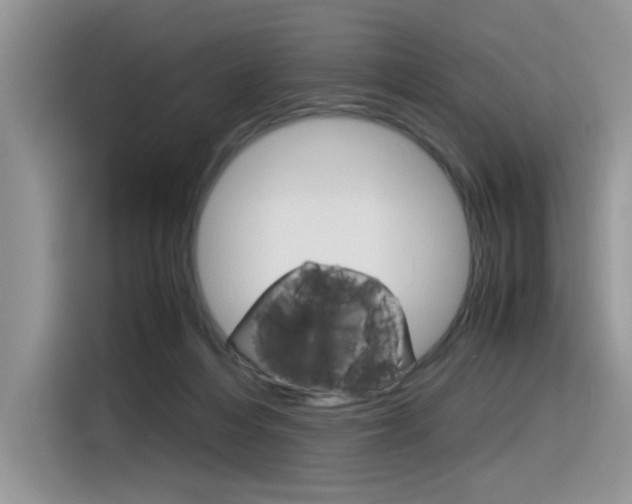 X0000116350216200912011045