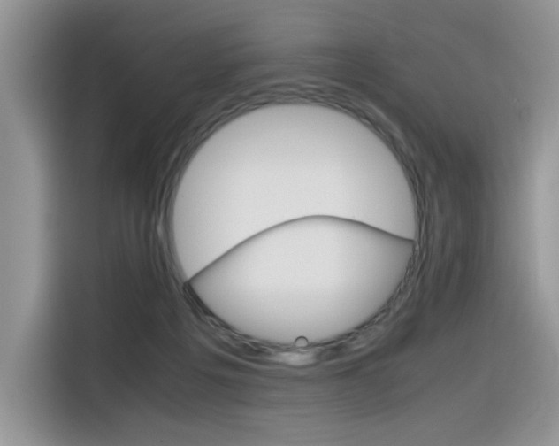 X0000116350217200912011045