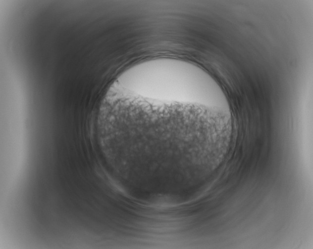 X0000116350218200912011045