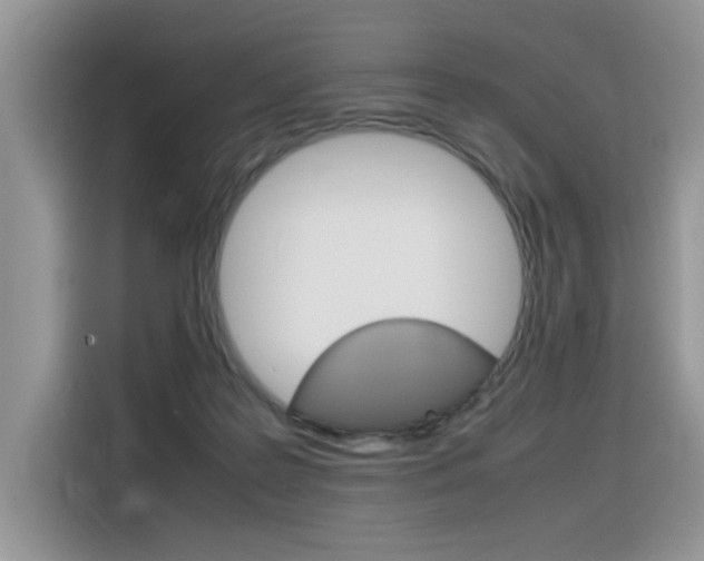X0000116350219200912011045