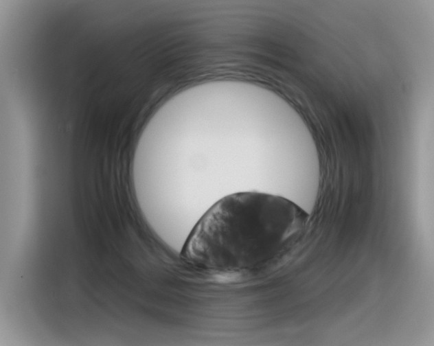 X0000116350220200912011045