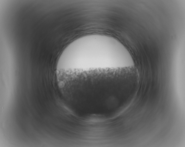 X0000116350222200912011045