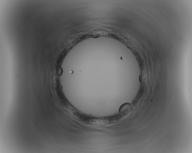 X0000116350223200912011045
