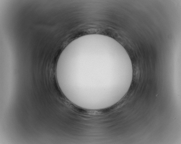 X0000116350226200912011045