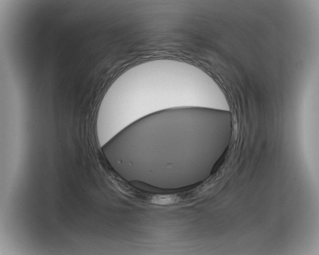 X0000116350231200912011044