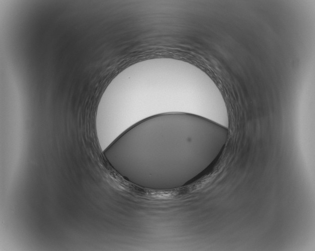 X0000116350235200912011044