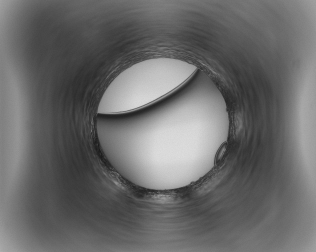 X0000116350236200912011044