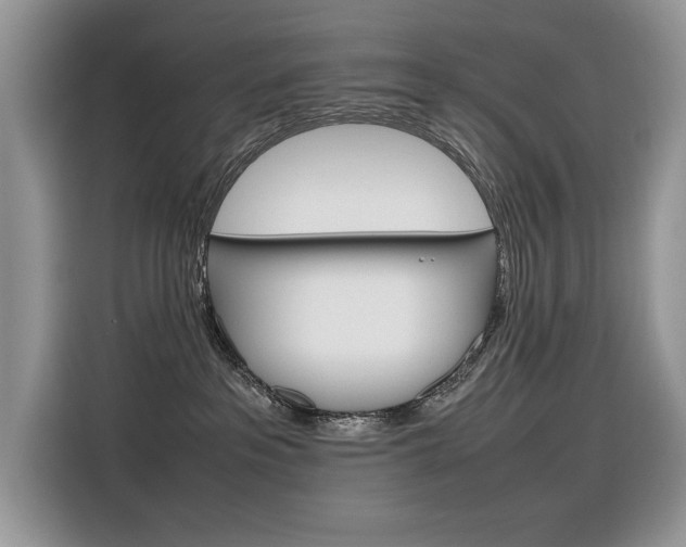 X0000116350237200912011044