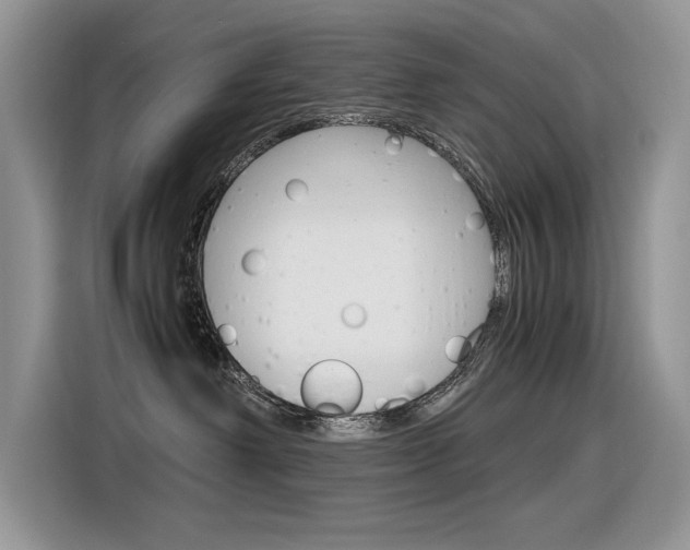 X0000116350238200912011044