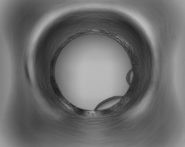 X0000116350239200912011044