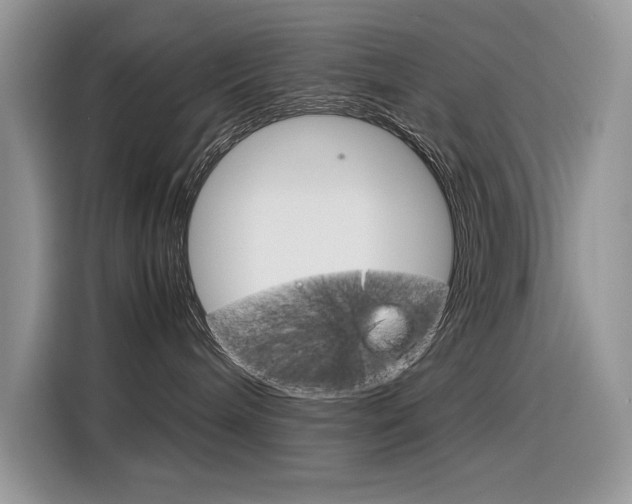 X0000116350240200912011044