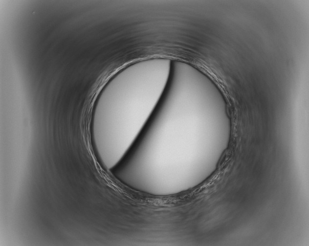 X0000116350241200912011044
