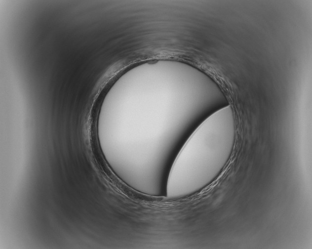 X0000116350242200912011044