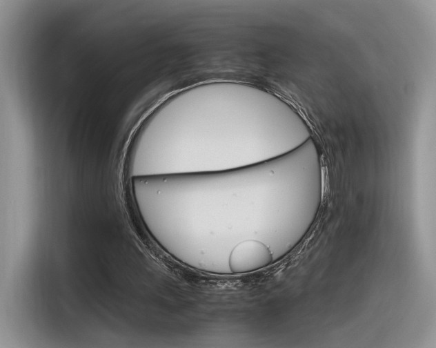 X0000116350243200912011044
