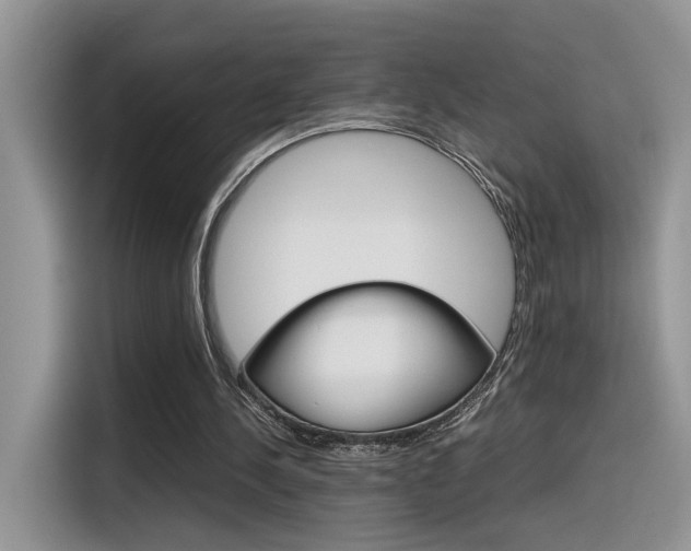 X0000116350244200912011044
