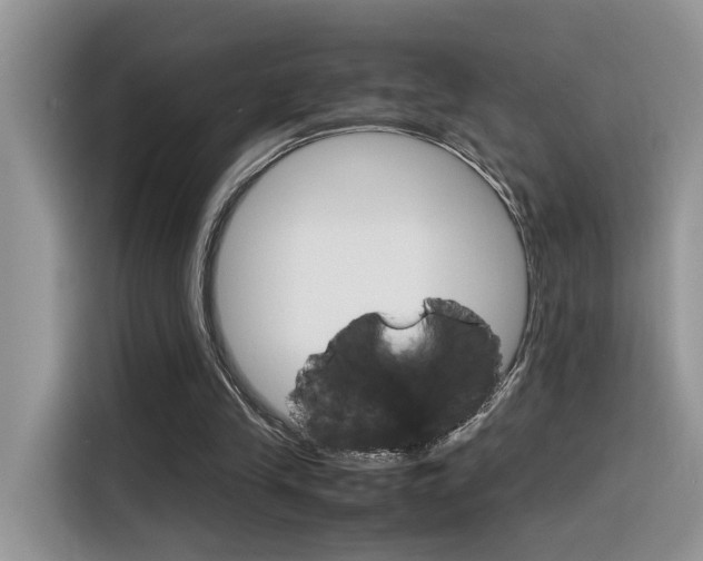 X0000116350245200912011044