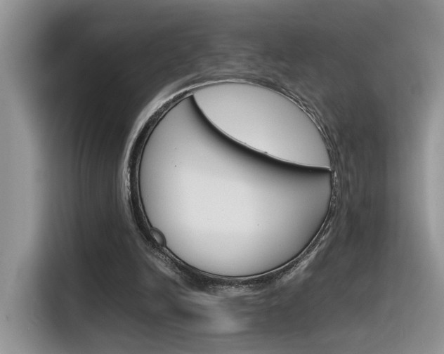 X0000116350246200912011044