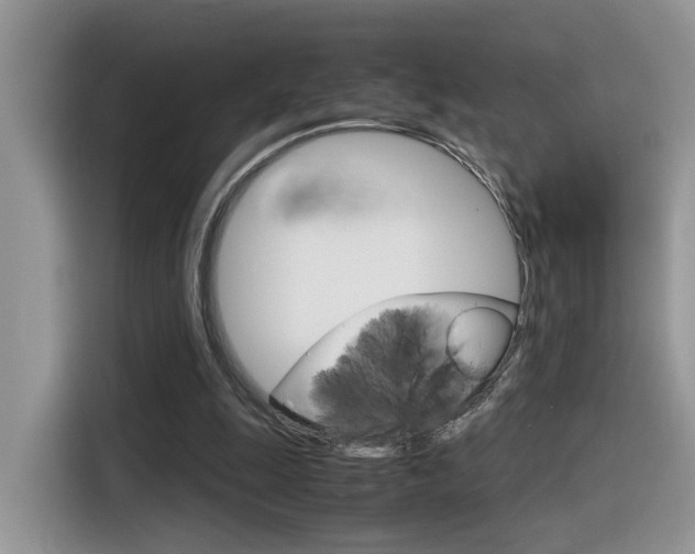 X0000116350247200912011044