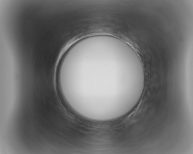 X0000116350248200912011044