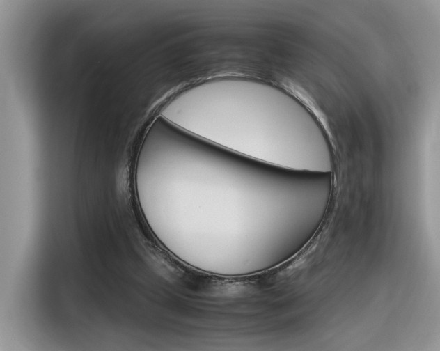 X0000116350249200912011044
