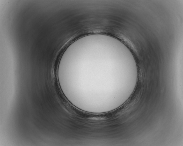 X0000116350251200912011044