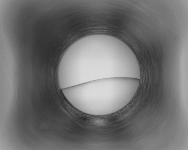 X0000116350255200912011044
