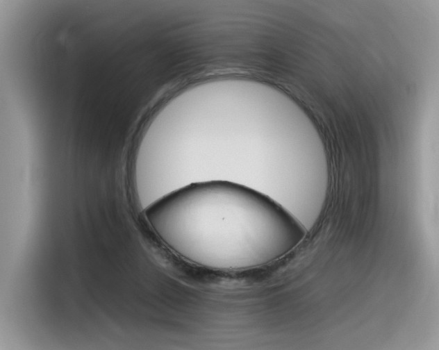 X0000116350256200912011044