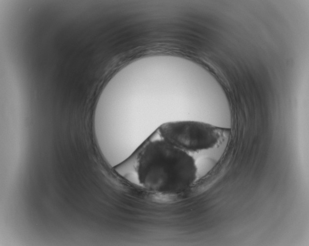 X0000116350261200912011044