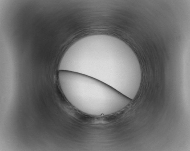 X0000116350262200912011044