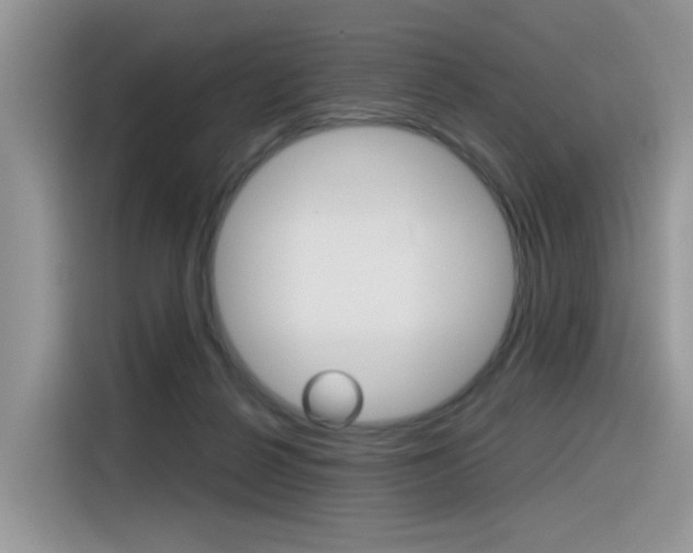 X0000116350264200912011044