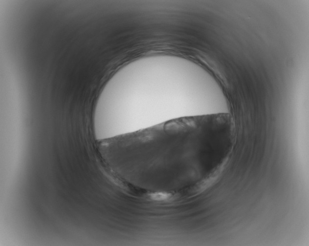 X0000116350265200912011044