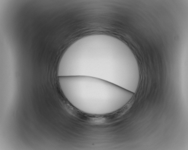 X0000116350266200912011044