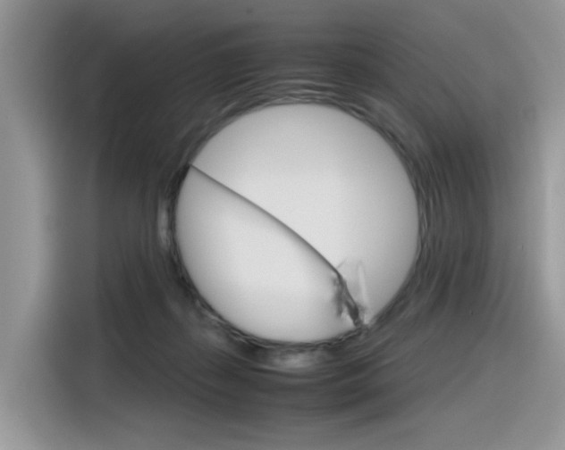 X0000116350267200912011044
