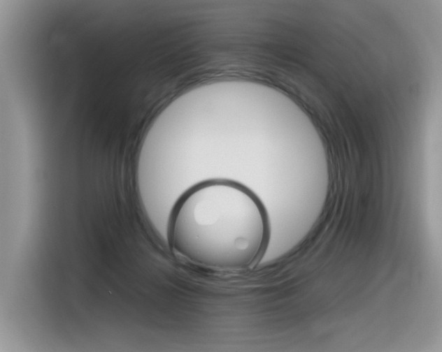 X0000116350268200912011044