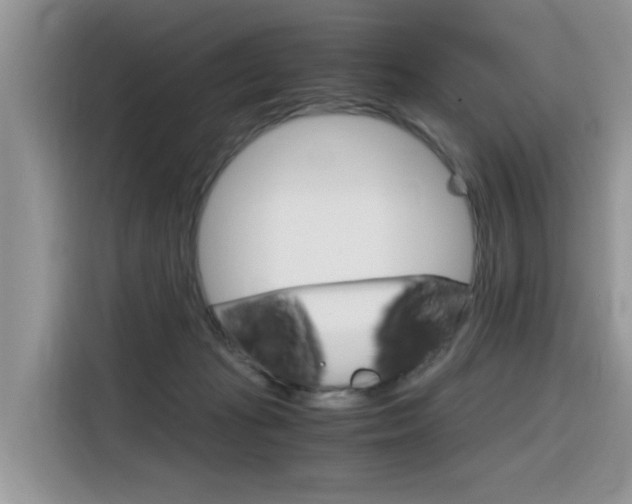 X0000116350269200912011044